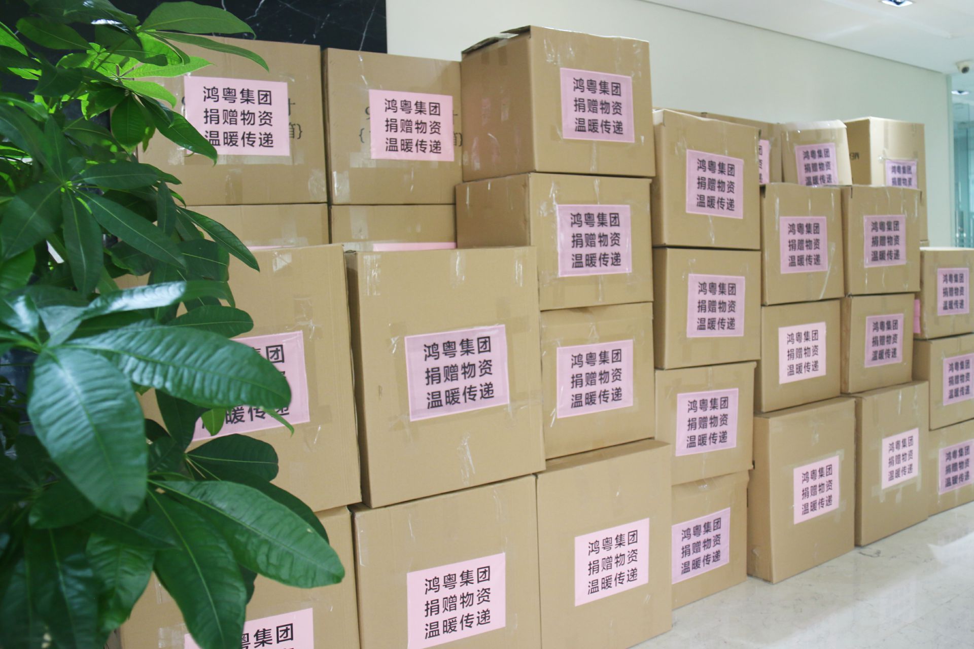 开云综合app官方官网-开云(中国)公益回顾丨家国同欢月同圆 温暖满载甘孜州(图1)